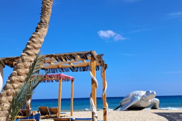 Abu Dabbab Privater Schnorchel Ausflug - Schildkröten schwimmen