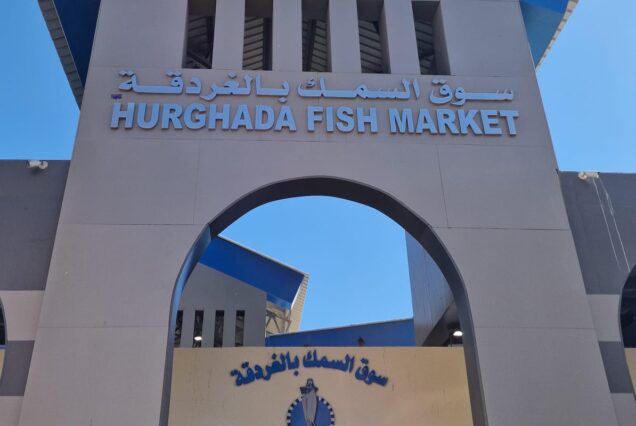 Private Stadtrundfahrt in Hurghada