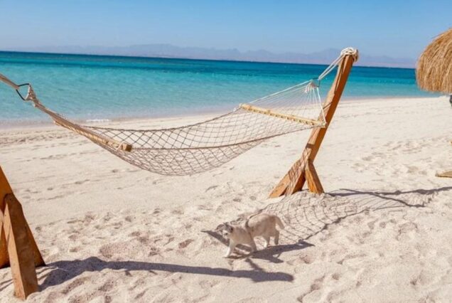 Hula Hula Insel Hurghada Schnorchel Ausflug