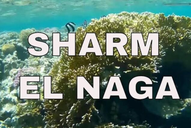 Sharm El Naga Privater Schnorchel Ausflug