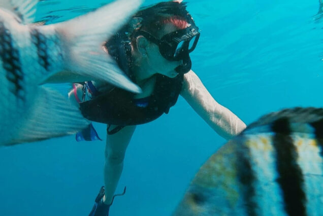 Sharm El Naga Privater Schnorchel Ausflug