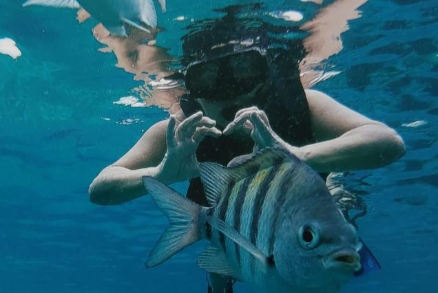 Orange Bay Insel Hurghada Schnorchel Ausflug